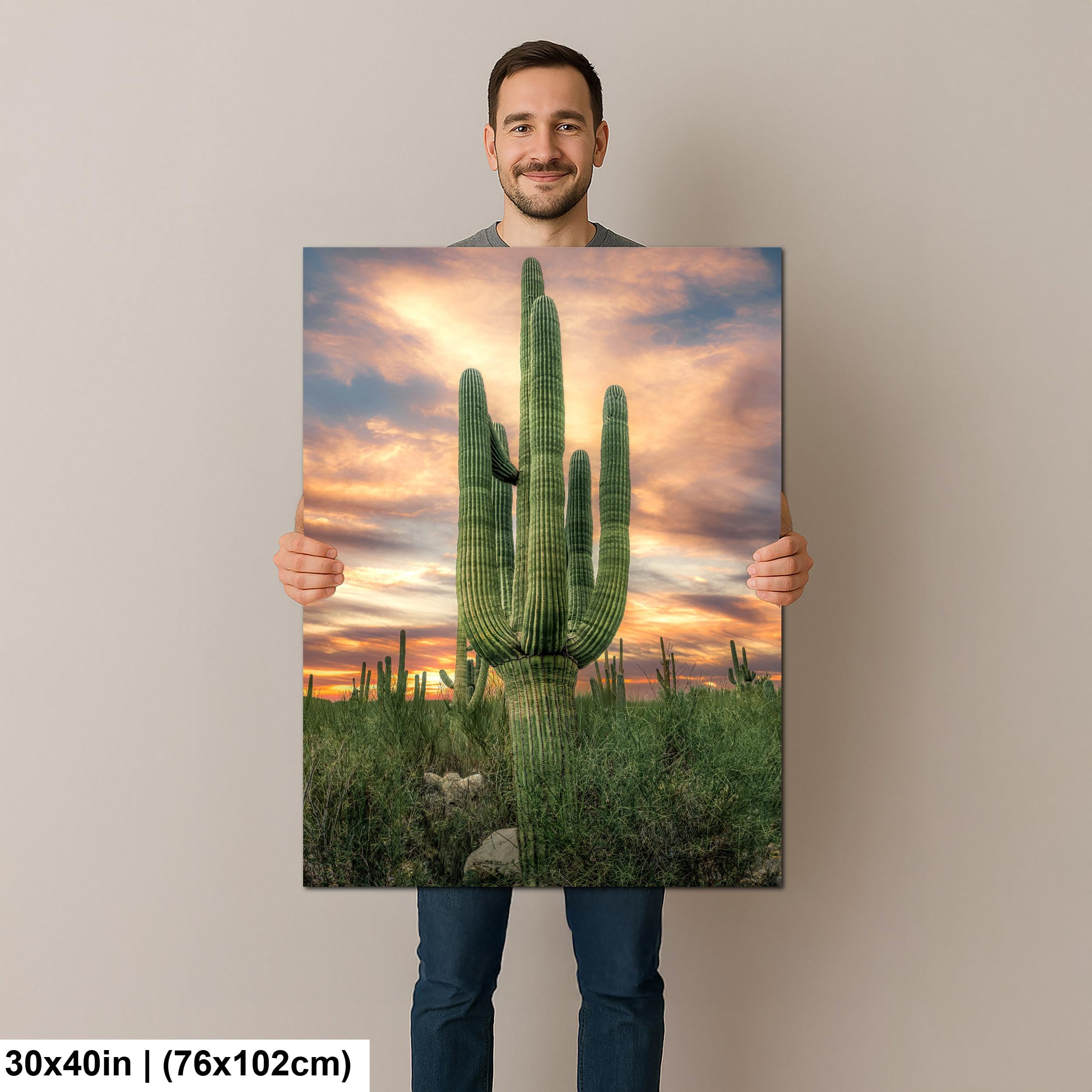Towering Multi-Arm Saguaro at Sunset - Catalina State Park Tucson Arizona Sonoran Desert Photography Print