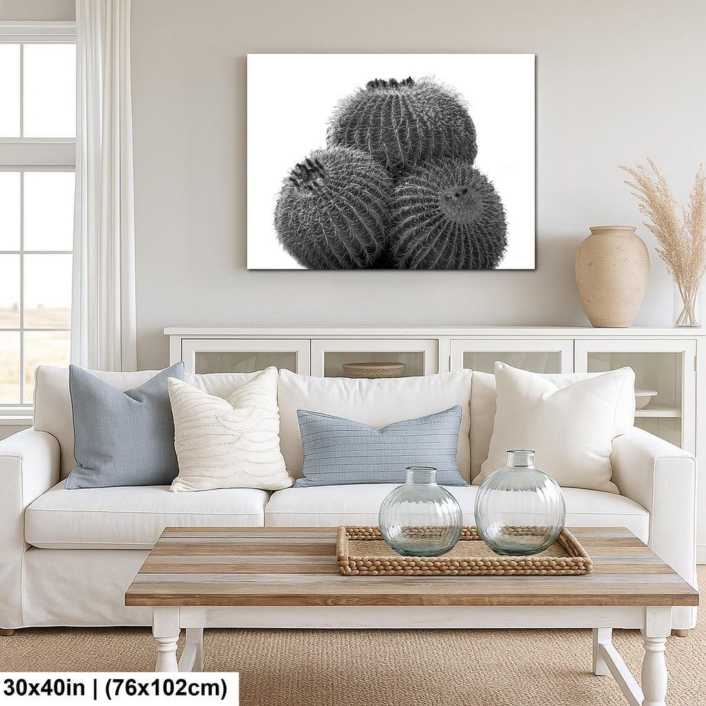 Living room with a white sofa, wooden coffee table, and decorative wall art of cacti.