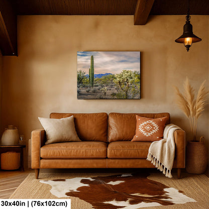 Saguaro and Cholla Desert Landscape, Tucson Arizona Photography Print, Southwest Wall Art, Sonoran Desert Decor