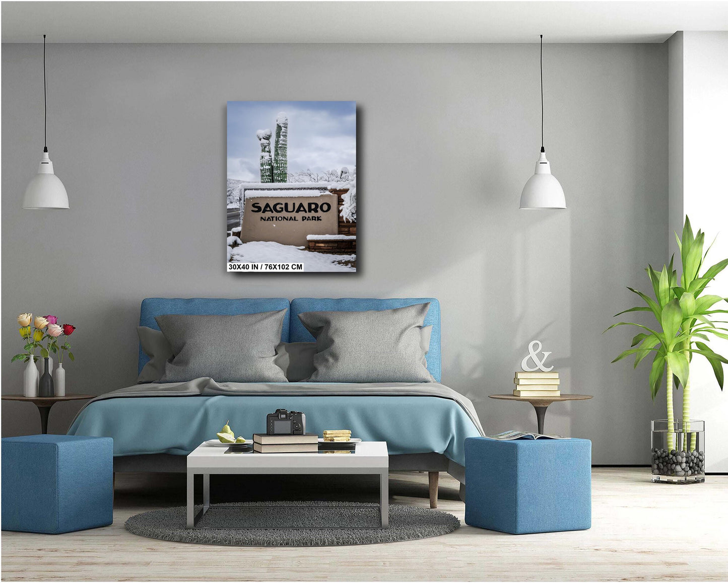 Saguaro National Park Wall Art – Snowy Desert Landscape | Tucson Arizona Decor