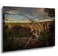 Scenic view of a canyon with a dead tree in the foreground at sunset.