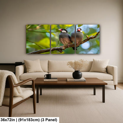 Pair of Java Sparrows on Branch, Wildlife Bird Lover Photography Wall Art