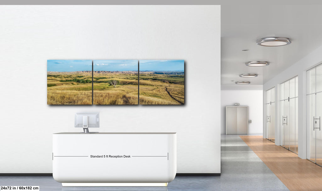 Solitary Prairie Tree Badlands National Park South Dakota Photography Print, Lone Tree Golden Grasslands Wall Art