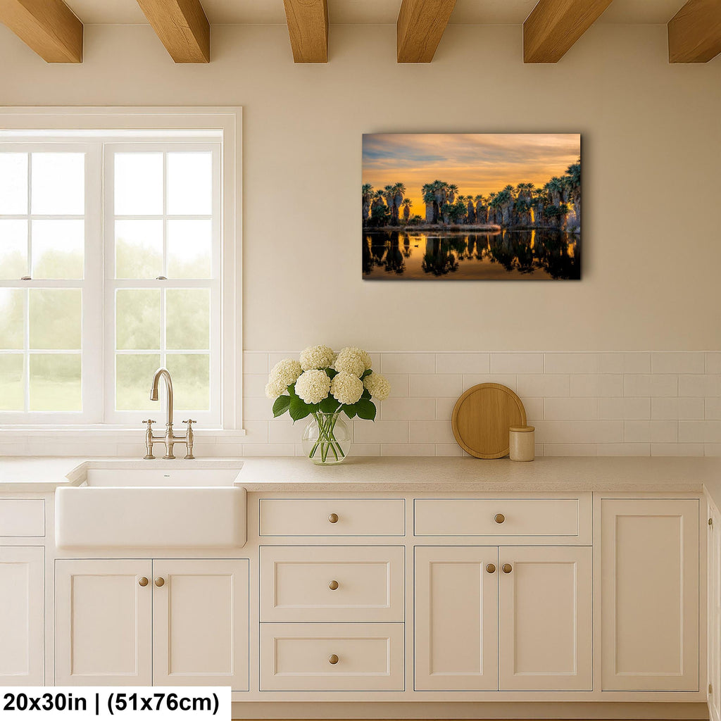 Agua Caliente Desert Palm Oasis Sunset Tucson Arizona Photography Print