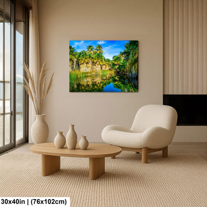 Palm Oasis Reflection Photography Print, Coachella Valley Preserve California, Desert Water Nature Wall Art