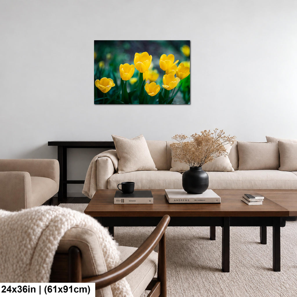 Sunlit Blooms: Yellow Tulip Flower Photography Botanical Floral Wall Art
