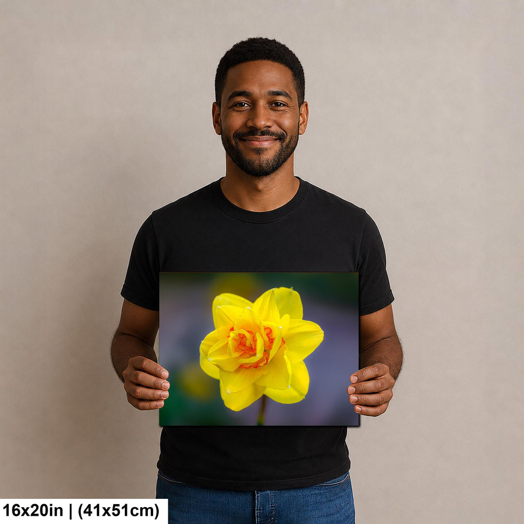 Golden Ruffles: Yellow Daffodil Flower Botanical Photography Wall Art