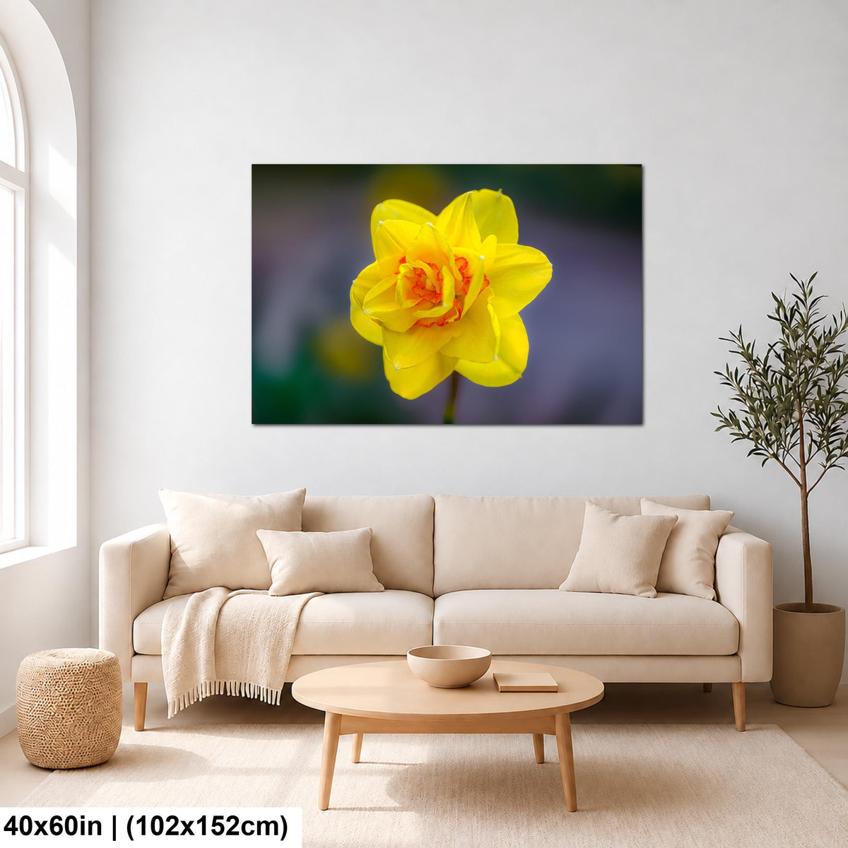 Golden Ruffles: Yellow Daffodil Flower Botanical Photography Wall Art