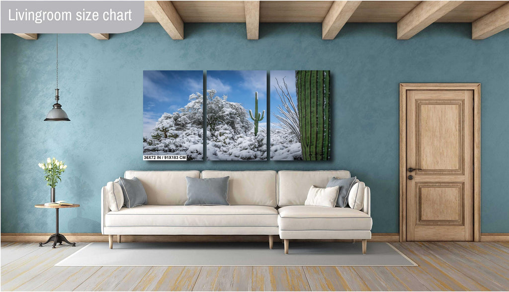 The White Desert: Snowfall in Saguaro National Park Tucson Arizona