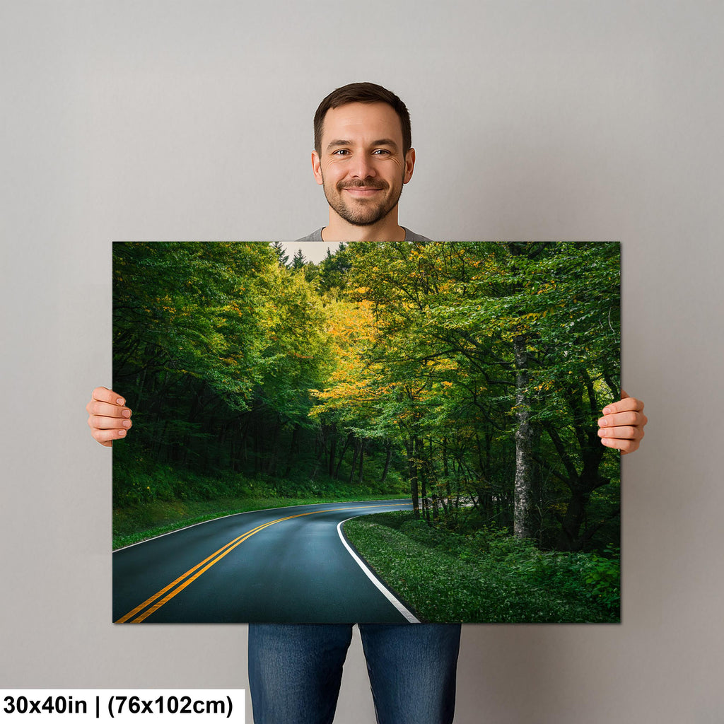 Forest Bend: Great Smoky Mountains National Park Road Photography Wall Art