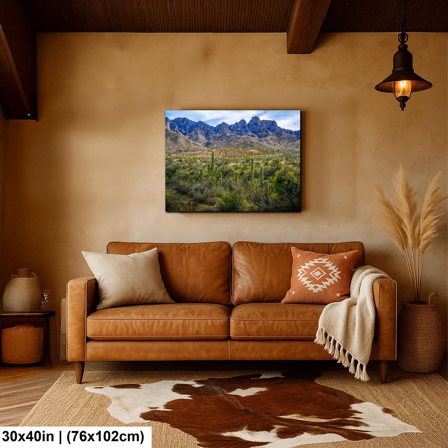 Catalina State Park Saguaros with Rocky Mountain Peaks - Tucson Arizona Sonoran Desert Photography Print