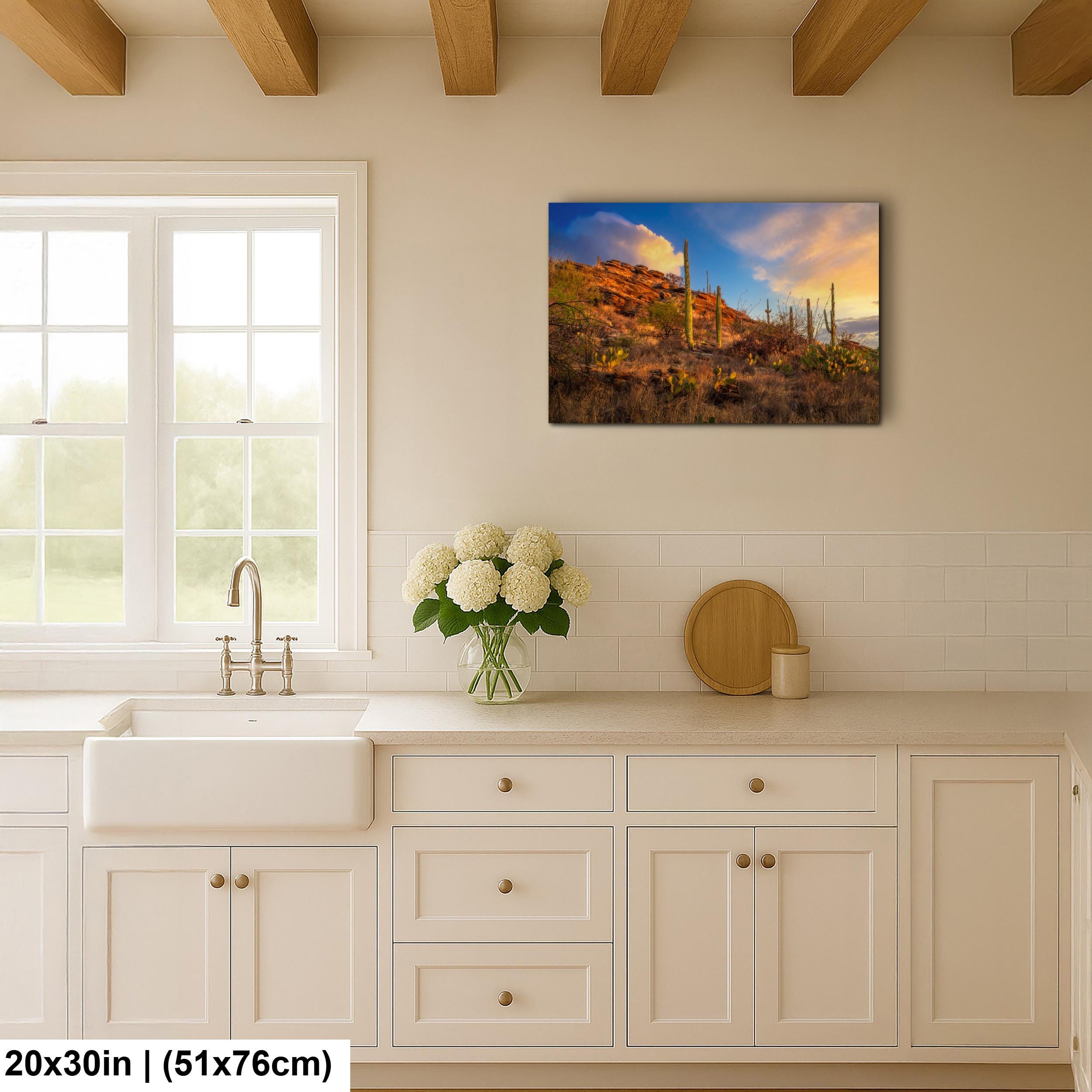 Sonoran Desert Sunset on Rocky Hillside - Saguaro National Park East Tucson Photography Print