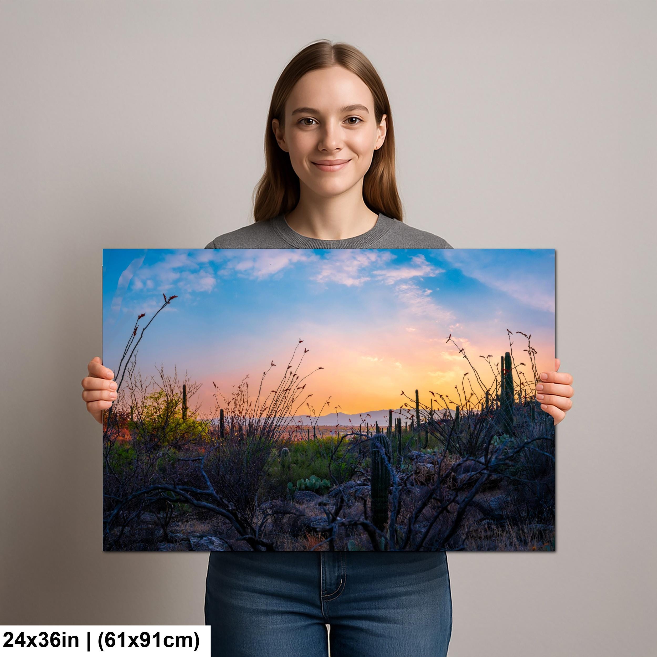 Sonoran Desert Sunset with Saguaros and Ocotillo - Saguaro National Park East Tucson Photography Print