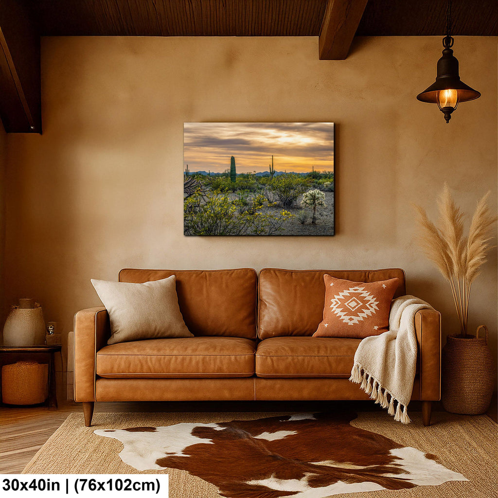 Spring Wildflowers and Saguaros at Dusk Tucson Arizona Photography Print