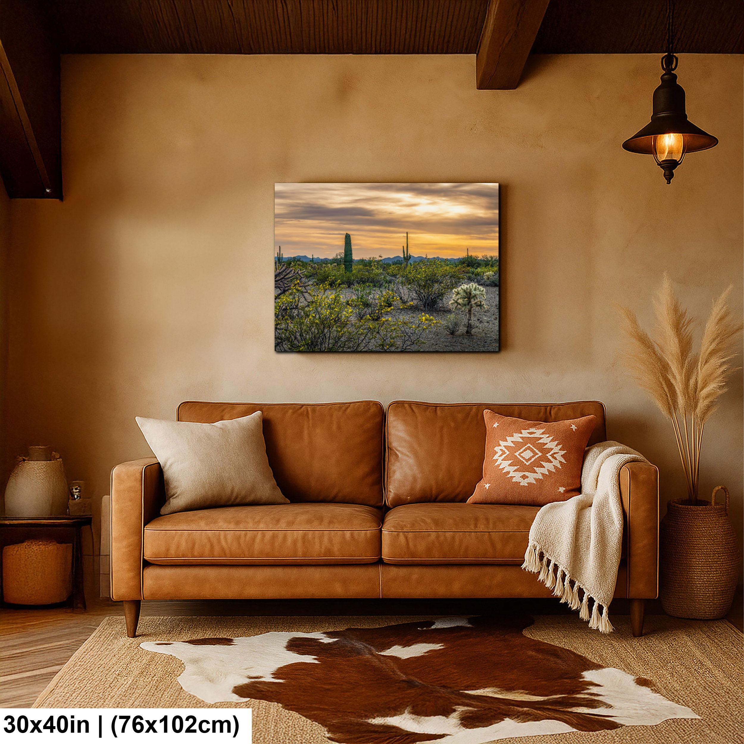 Spring Wildflowers and Saguaros at Dusk Tucson Arizona Photography Print