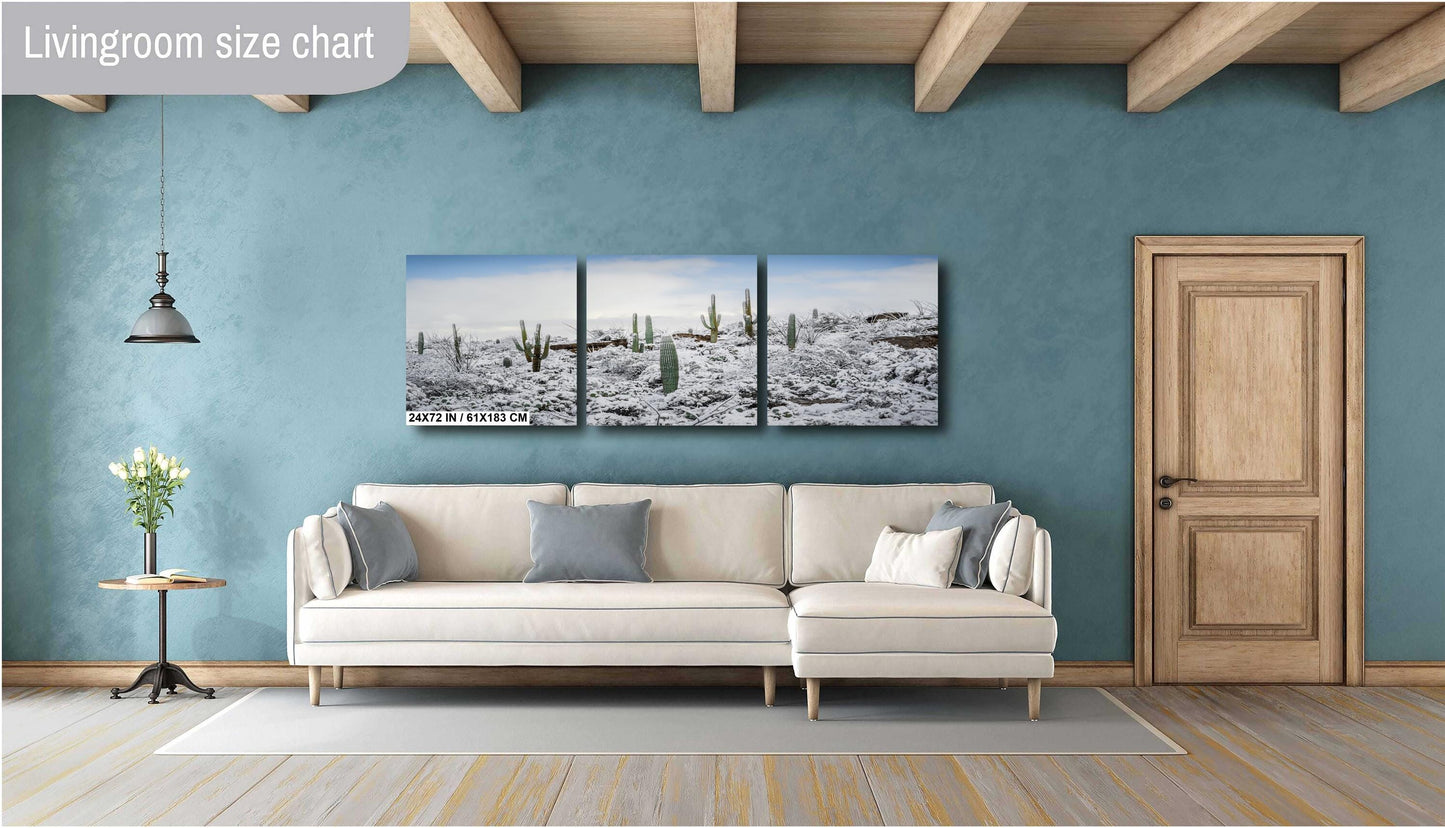 Desert Giants in Winter White: Saguaro National Park Print Wall Art Tucson Cactus Snow Landscape Photography Aluminum/Acrylic/Metal/Canvas