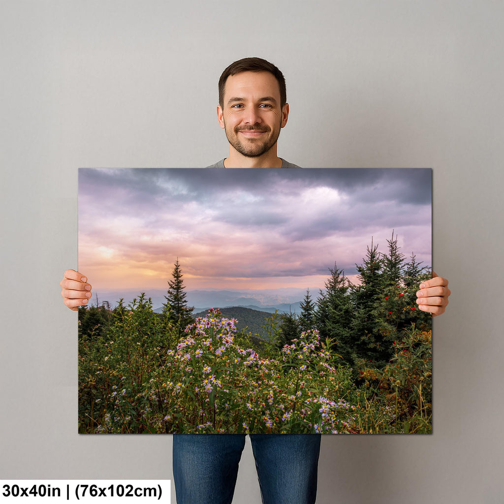 Mountain Wildflowers: Great Smoky Mountains Tennessee Photography Wall Art
