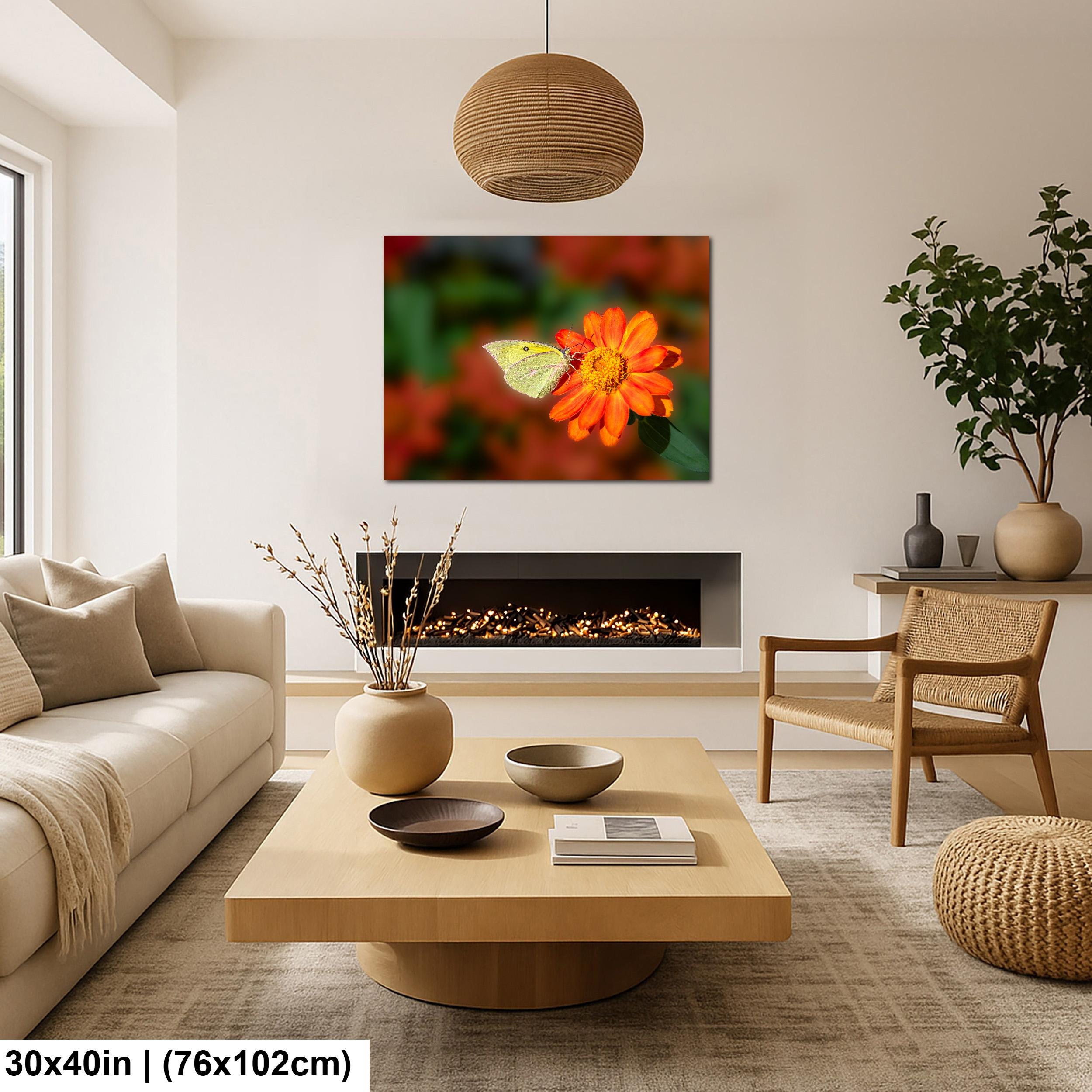 Gentle Landing: Butterfly on Flower Mt. Lemmon Arizona Photography Wall Art