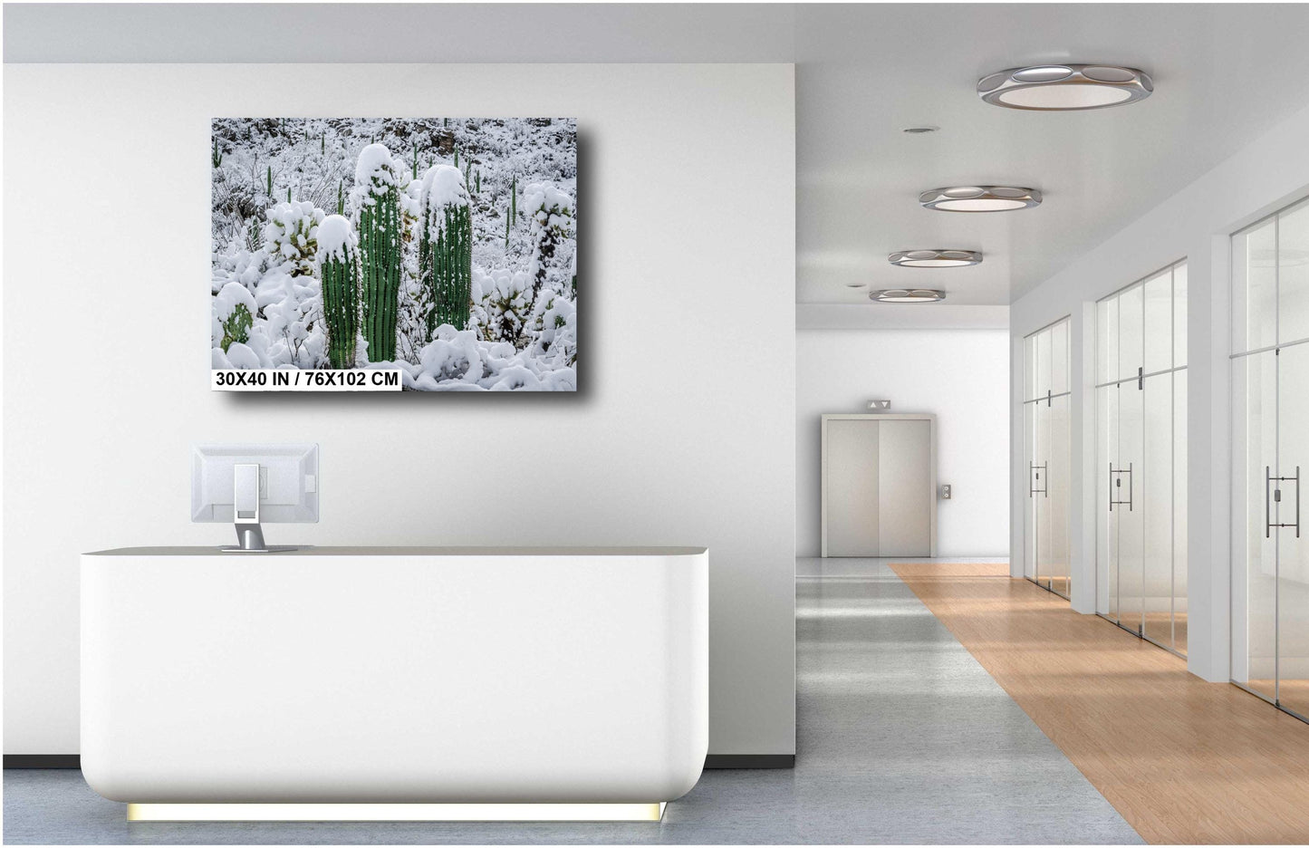 Saguaro Cactus Photography: Black and White Desert Minimalist Wall Art