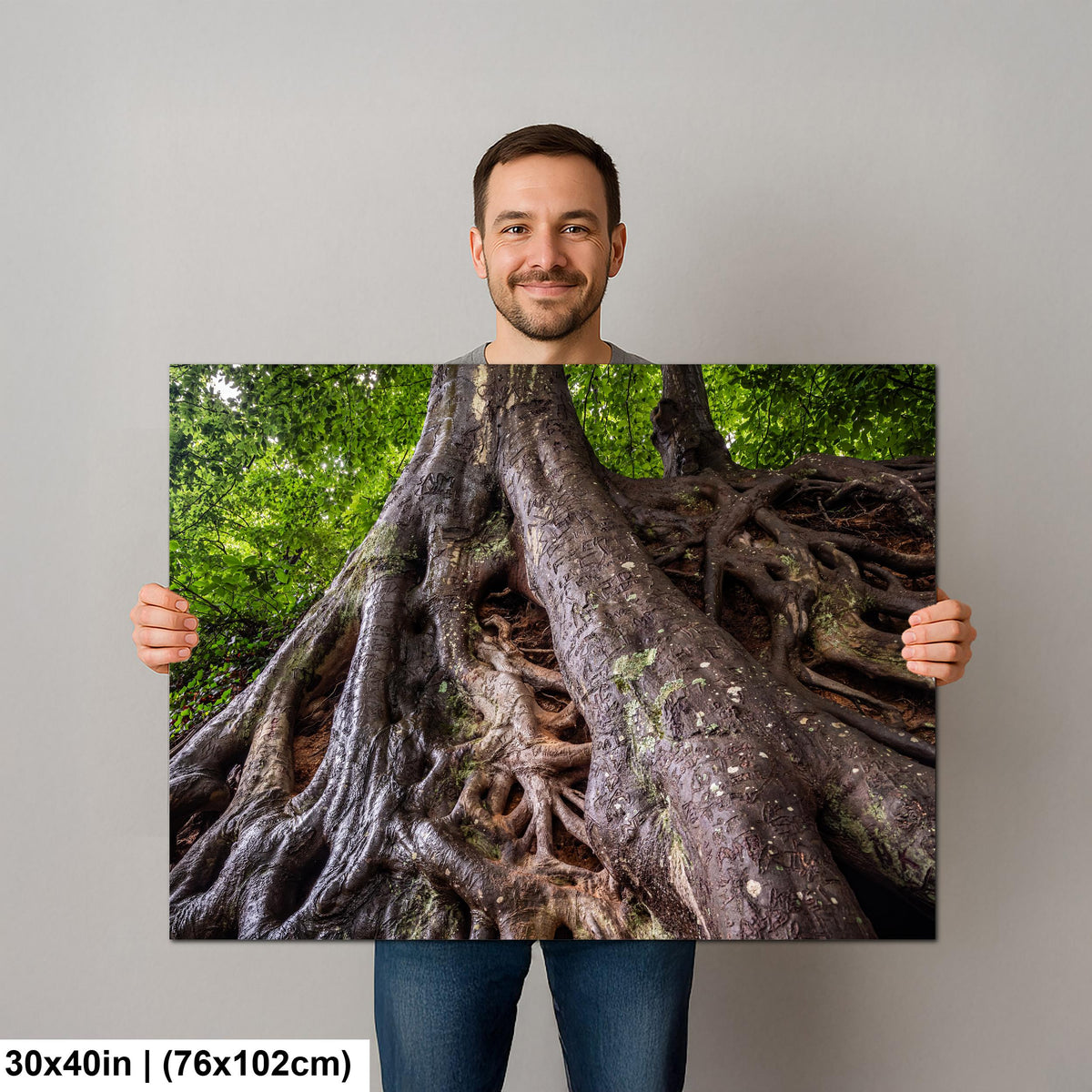 Tangled Roots: Medusa Tree Falls Park Greenville SC Nature Photo Wall Art