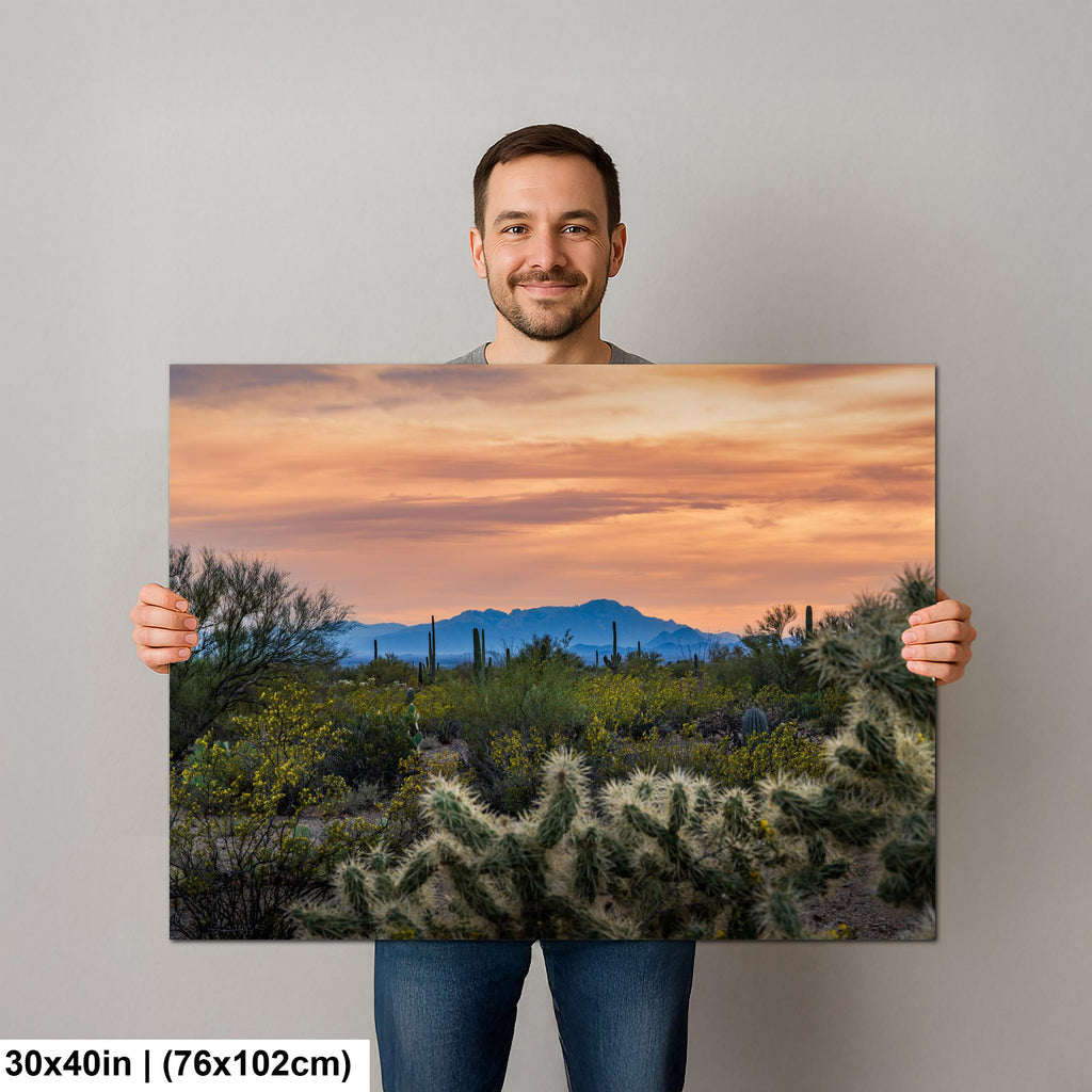 Sonoran Desert Sunset with Saguaros and Cholla, Tucson Arizona Photography Print