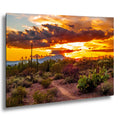 Fiery Sonoran Desert Sunset with Cactus, Tucson Mountain Park Arizona Photography Wall Art