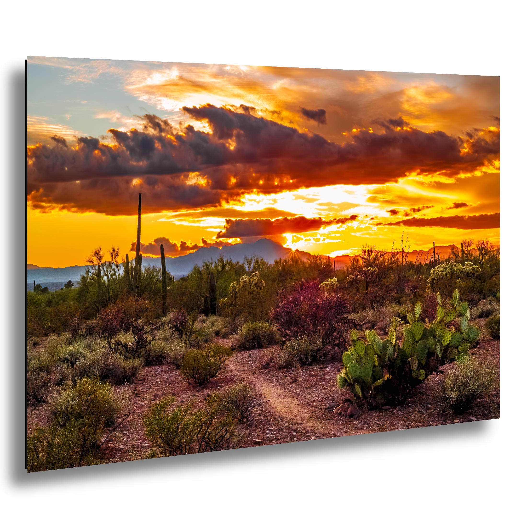 Fiery Sonoran Desert Sunset with Cactus, Tucson Mountain Park Arizona Photography Wall Art