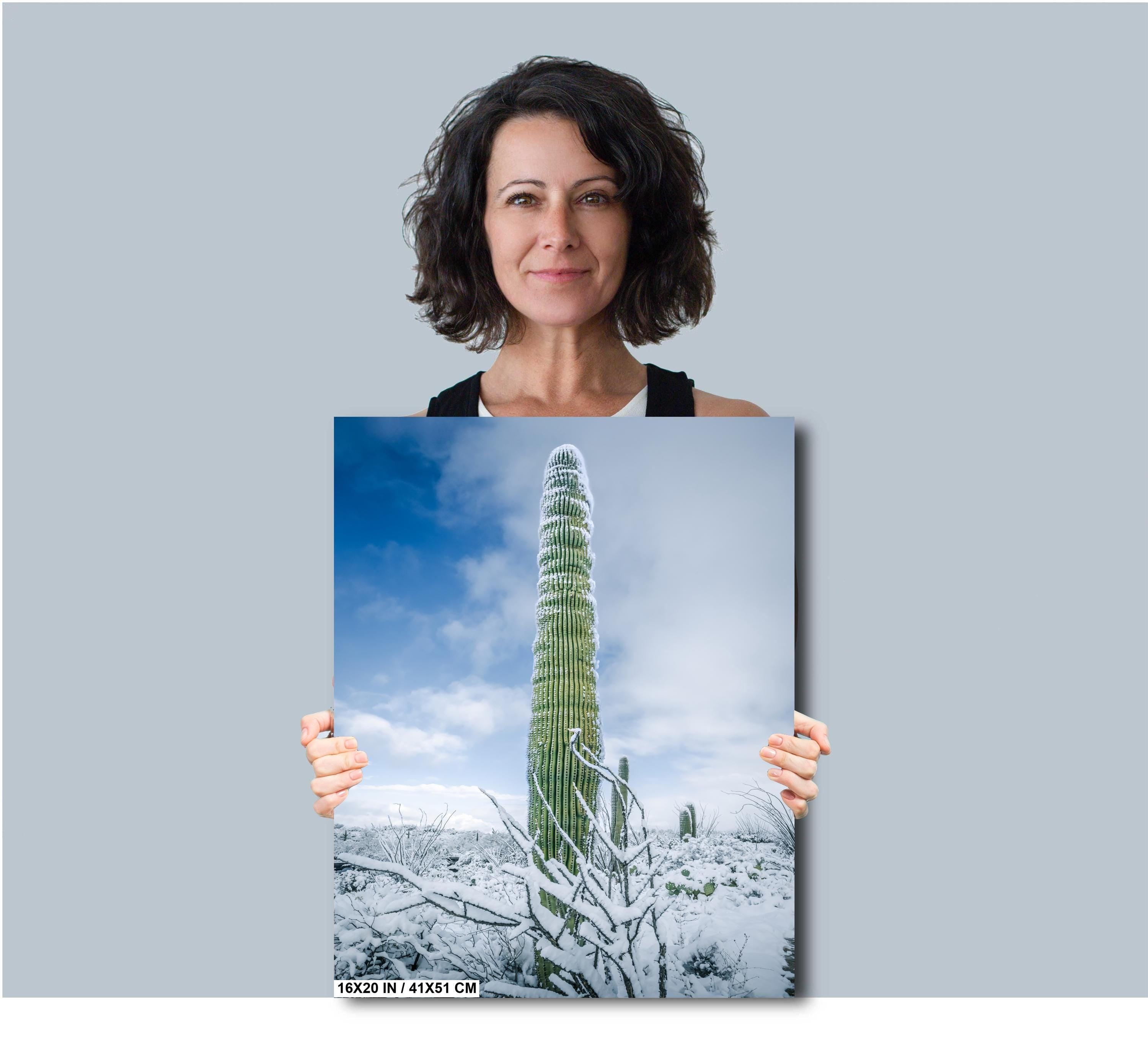 Black and White Saguaro Cactus Arizona Desert Photography Wall Art