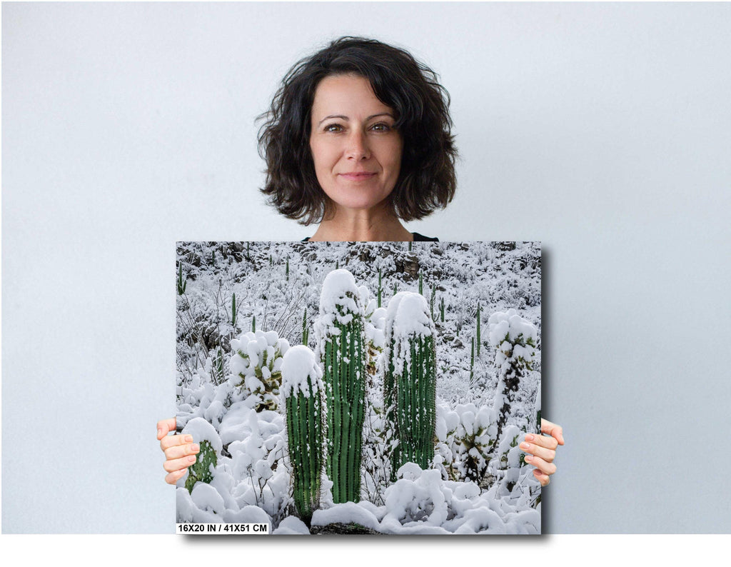Snow Capped Saguaros Desert Wall Art – Arizona Photography Print – Ready to Hang Canvas