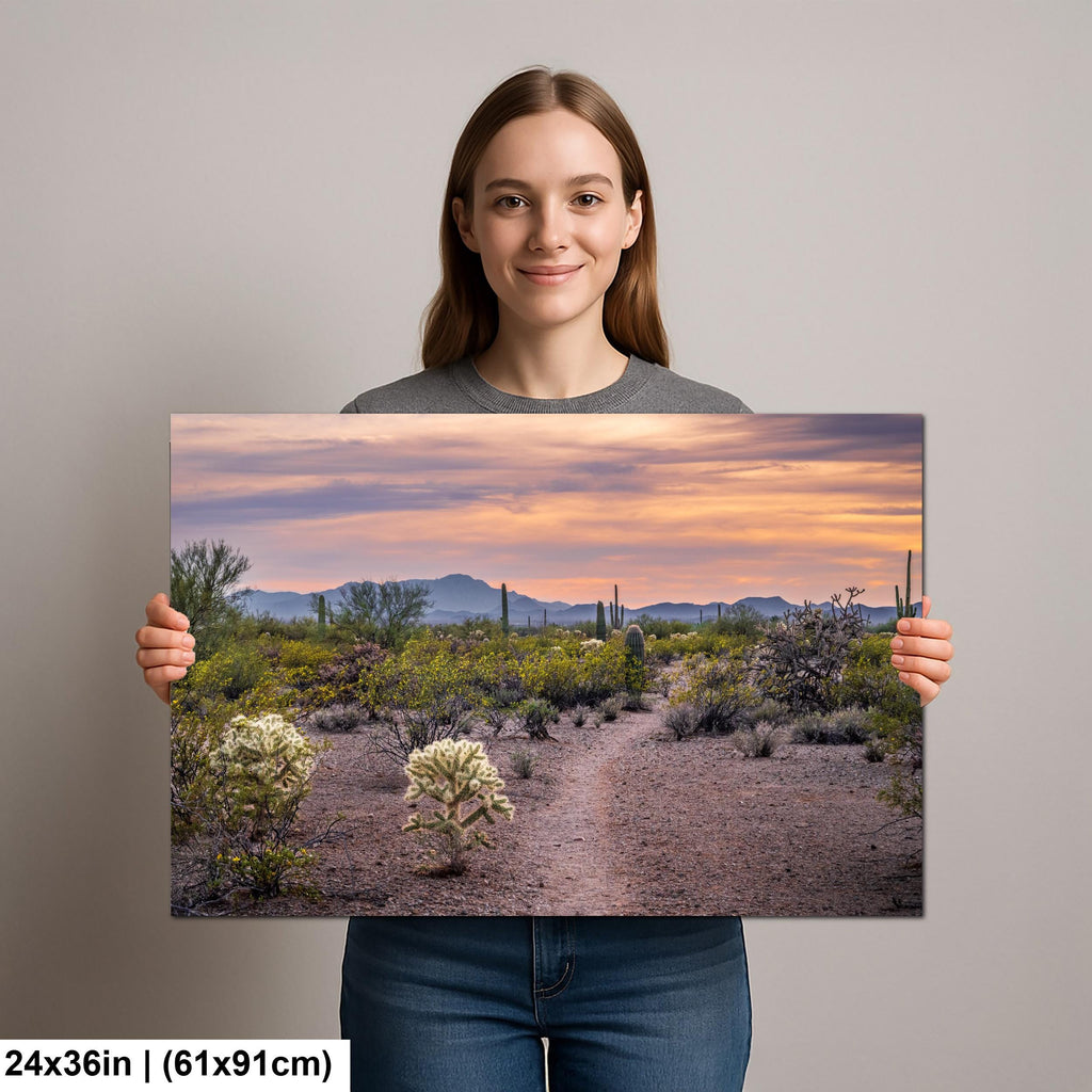 Spring Wildflowers and Saguaros at Sunset, Tucson Arizona Sonoran Desert Photography Print