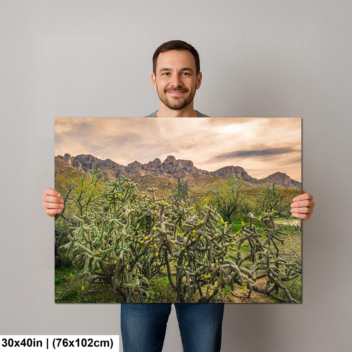 Catalina State Park Blooming Cholla - Tucson Arizona Desert Mountains Photography Print
