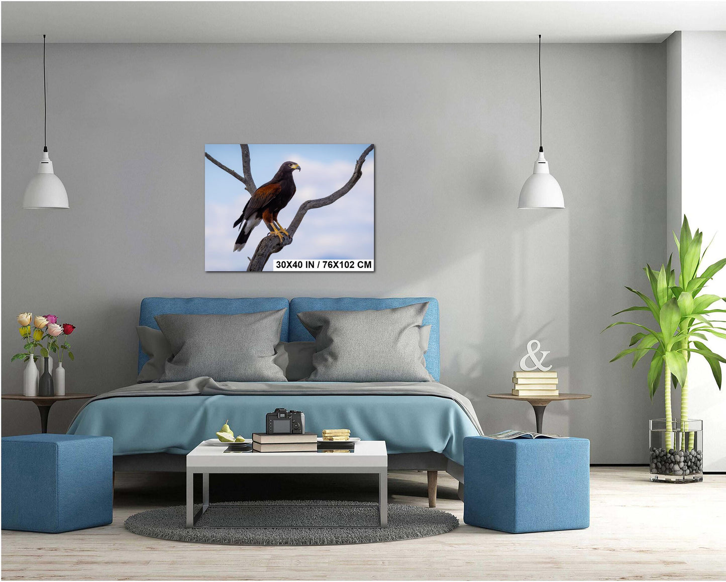 Harris's Hawk Perched: Arizona Desert Wildlife Photography Print