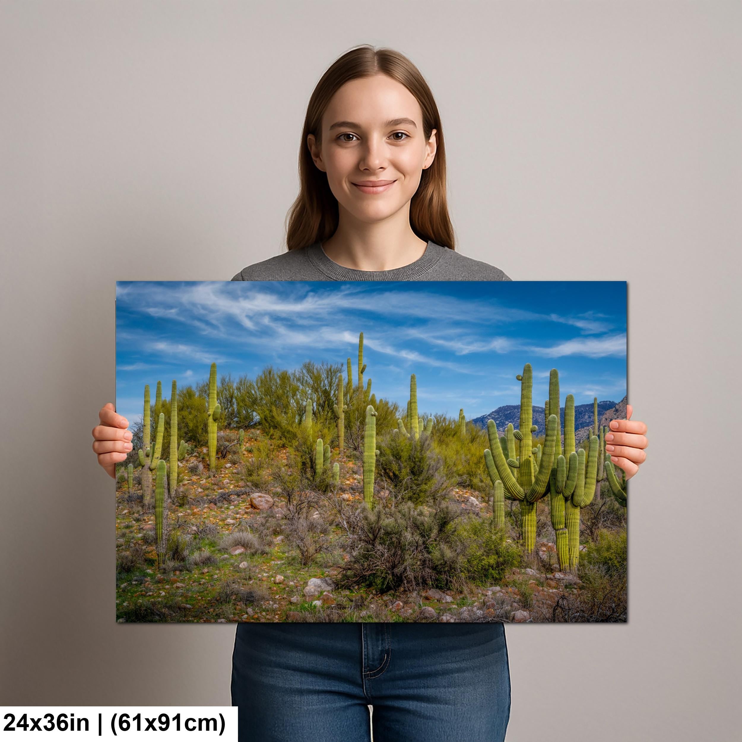 Sonoran Desert Hillside with Saguaros - Catalina State Park Tucson Arizona Photography Print
