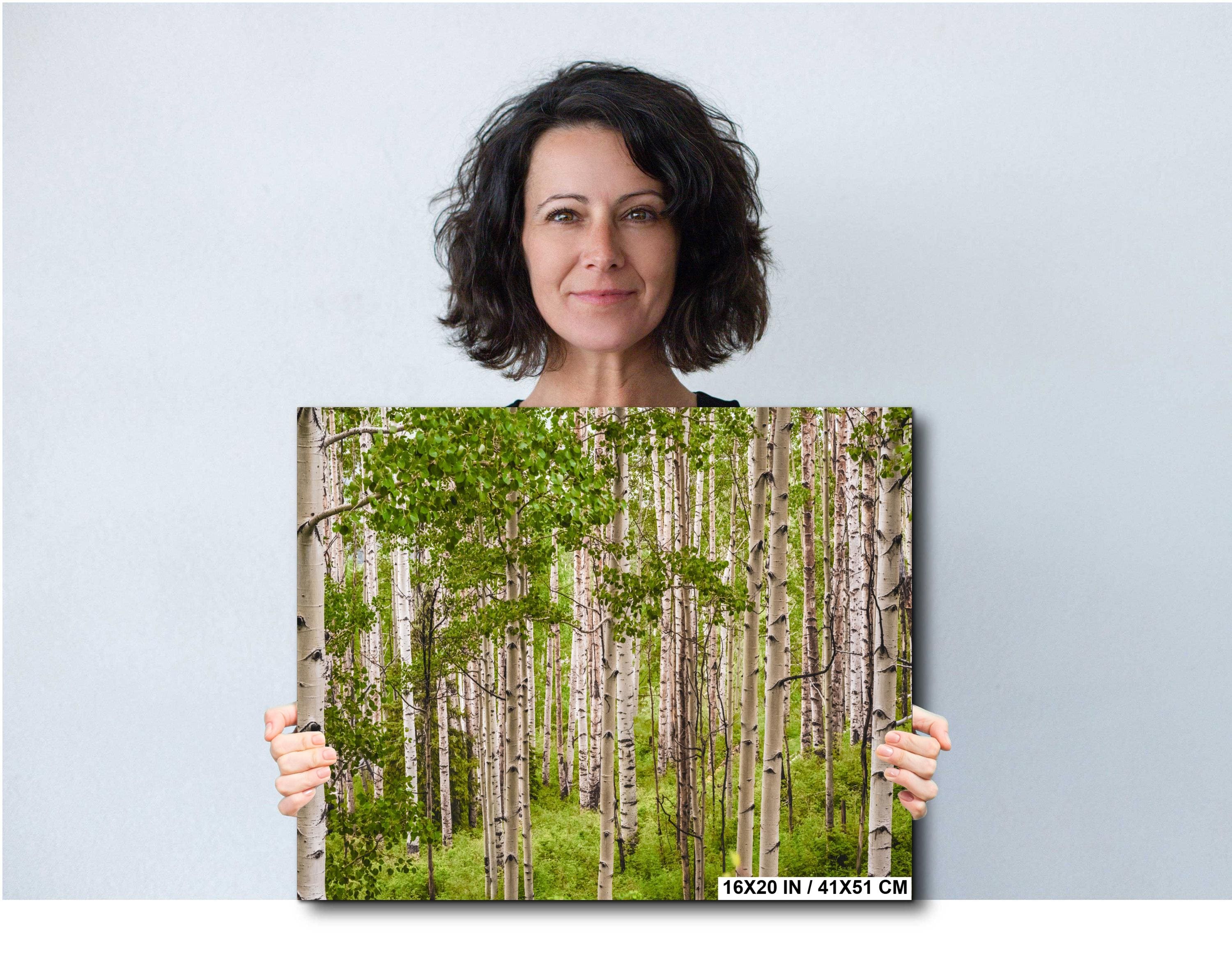 San Juan Mountains Aspen Forest Print: Telluride Colorado Landscape