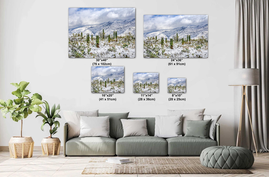 Saguaro National Park Winter Snow Cactus Print: Arizona Desert Wall Art