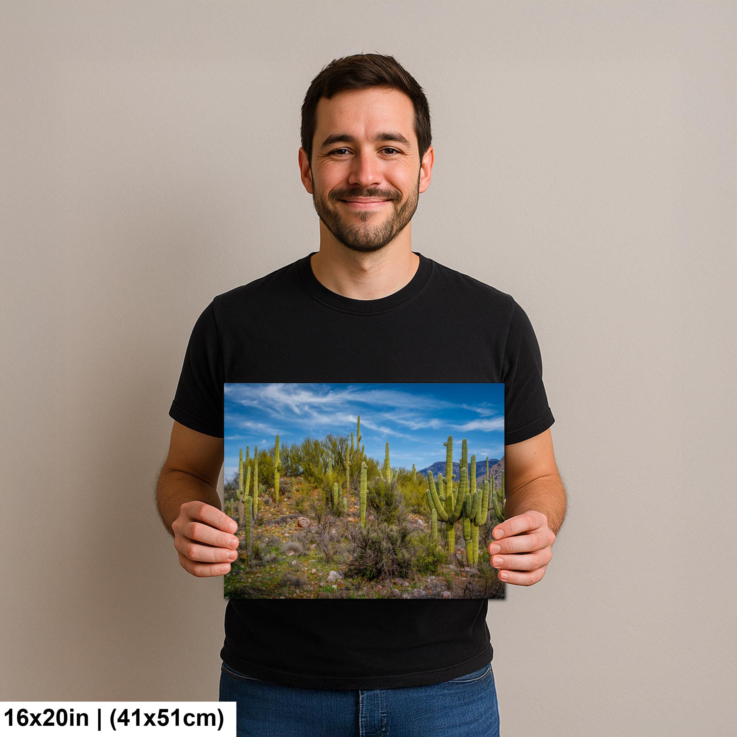 Sonoran Desert Hillside with Saguaros - Catalina State Park Tucson Arizona Photography Print