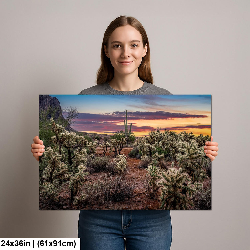 Desert Sunset Photograph, Cholla Cactus and Saguaros, Arizona Landscape Wall Art