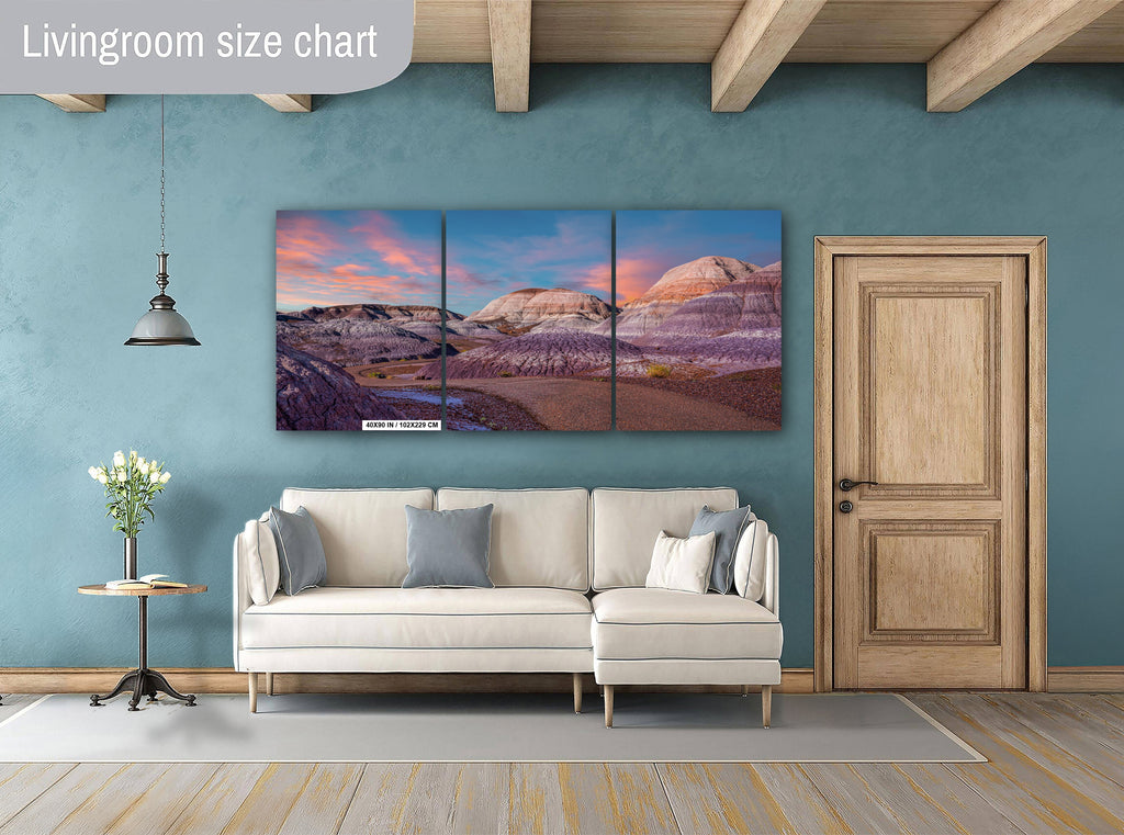 Nature's Ancient Relics: Petrified Forest National Park Arizona Wall Art Photography