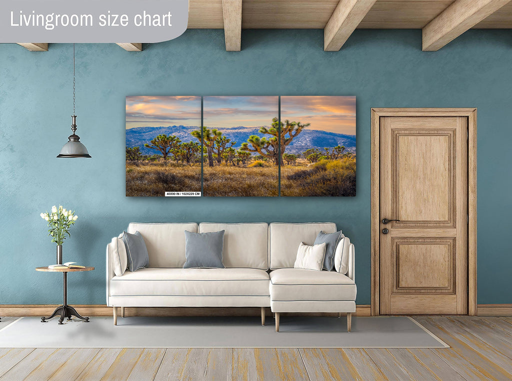 Joshua Tree National Park Print: California Landscape Wall Art