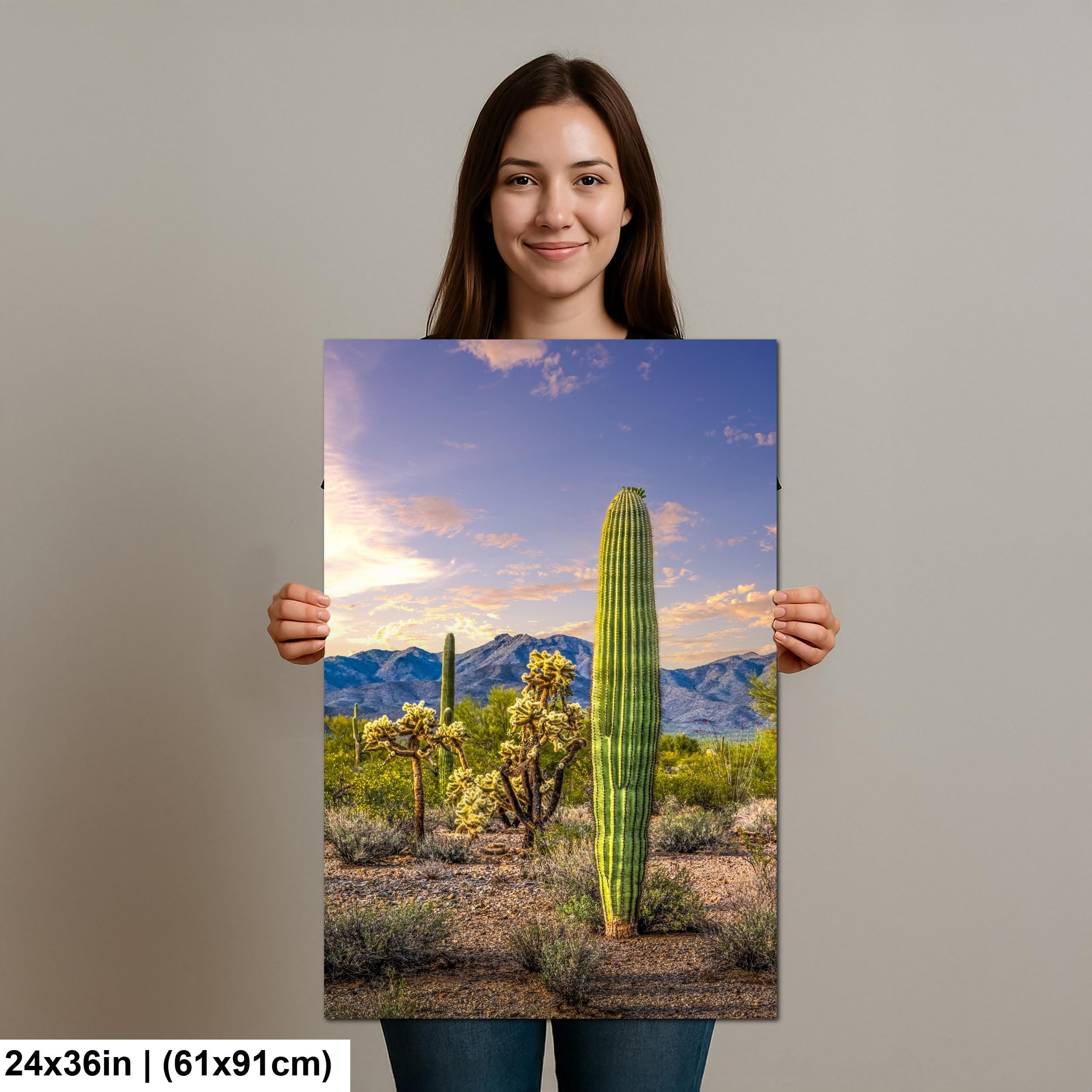 Golden Hour Saguaros and Cholla in Bloom Desert Photography Print, Tucson Arizona Southwest Wall Art Decor