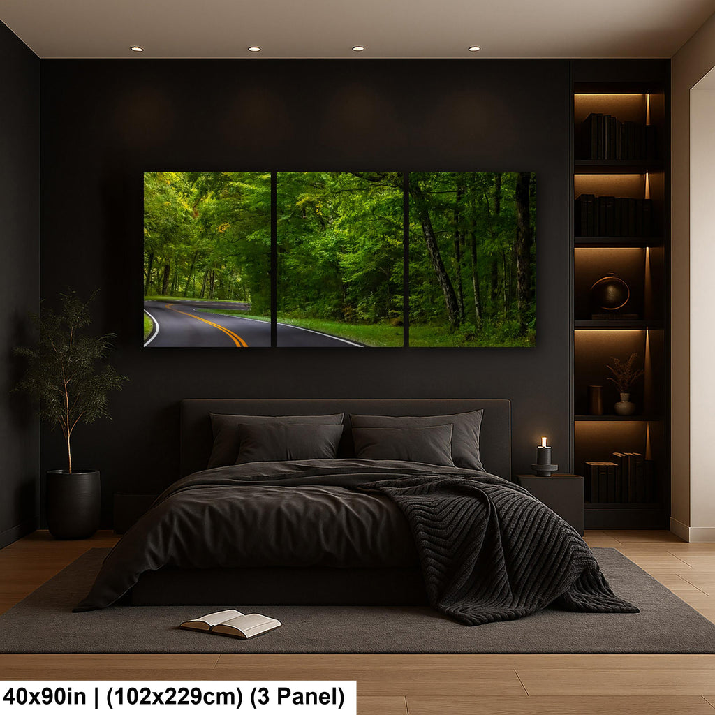 Forest Passage: Curved Road Great Smoky Mountains National Park Wall Art
