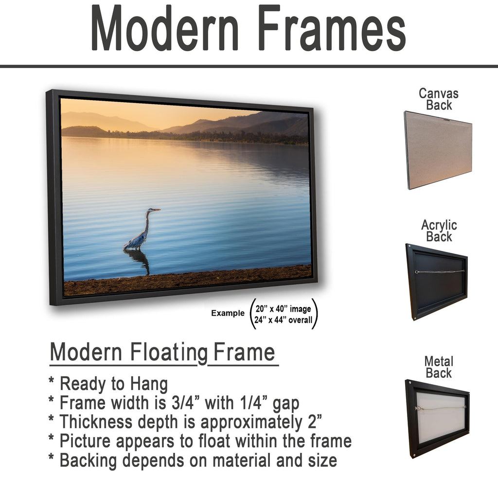 Lakeside Heron: Lake Elsinore California Wildlife Photography Wall Art