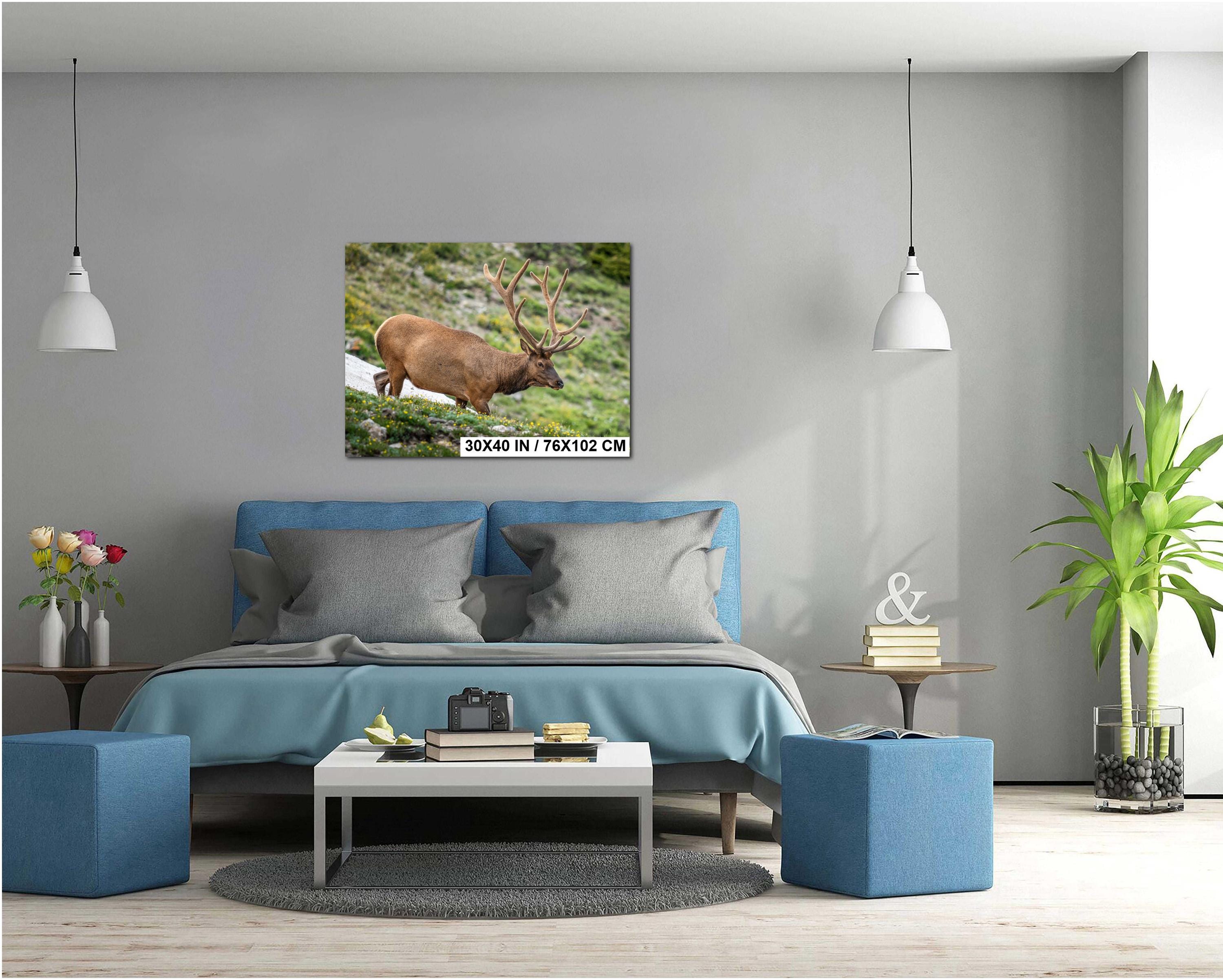 Rocky Mountain National Park Bull Elk in Alpine Wildflowers, Wildlife Wall Art Photography Print, Colorado Mountain Metal Canvas Decor
