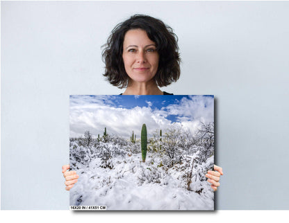 Saguaro National Park Print – Desert Wall Art | Winter Cactus Art in Tucson Arizona