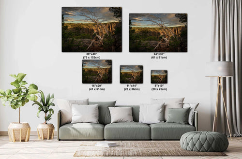 Living room with a sofa and decorative plants, featuring wall art prints with measurements.
