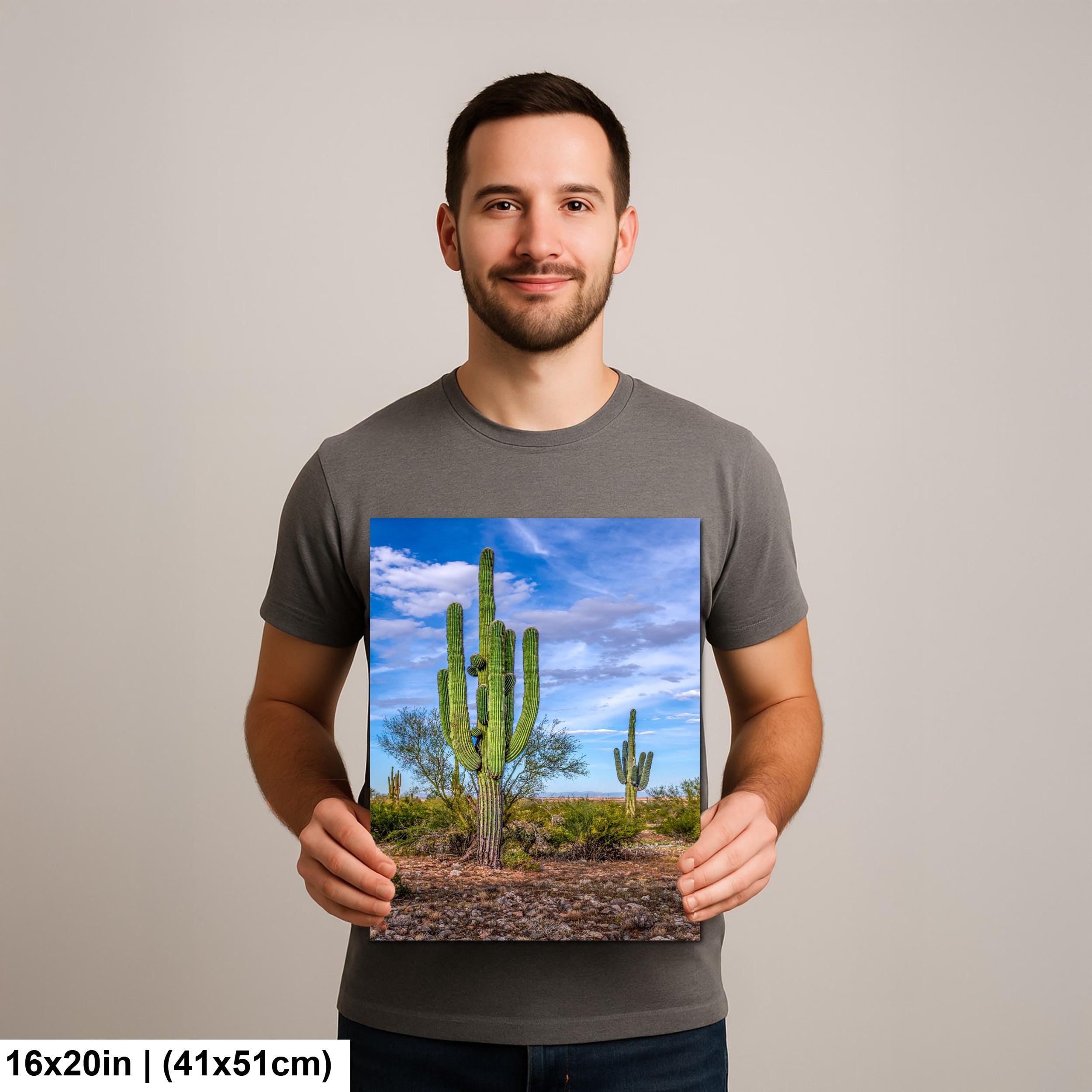 Tall Saguaros in the Sonoran Desert, Casa Grande Arizona, Photography Wall Art