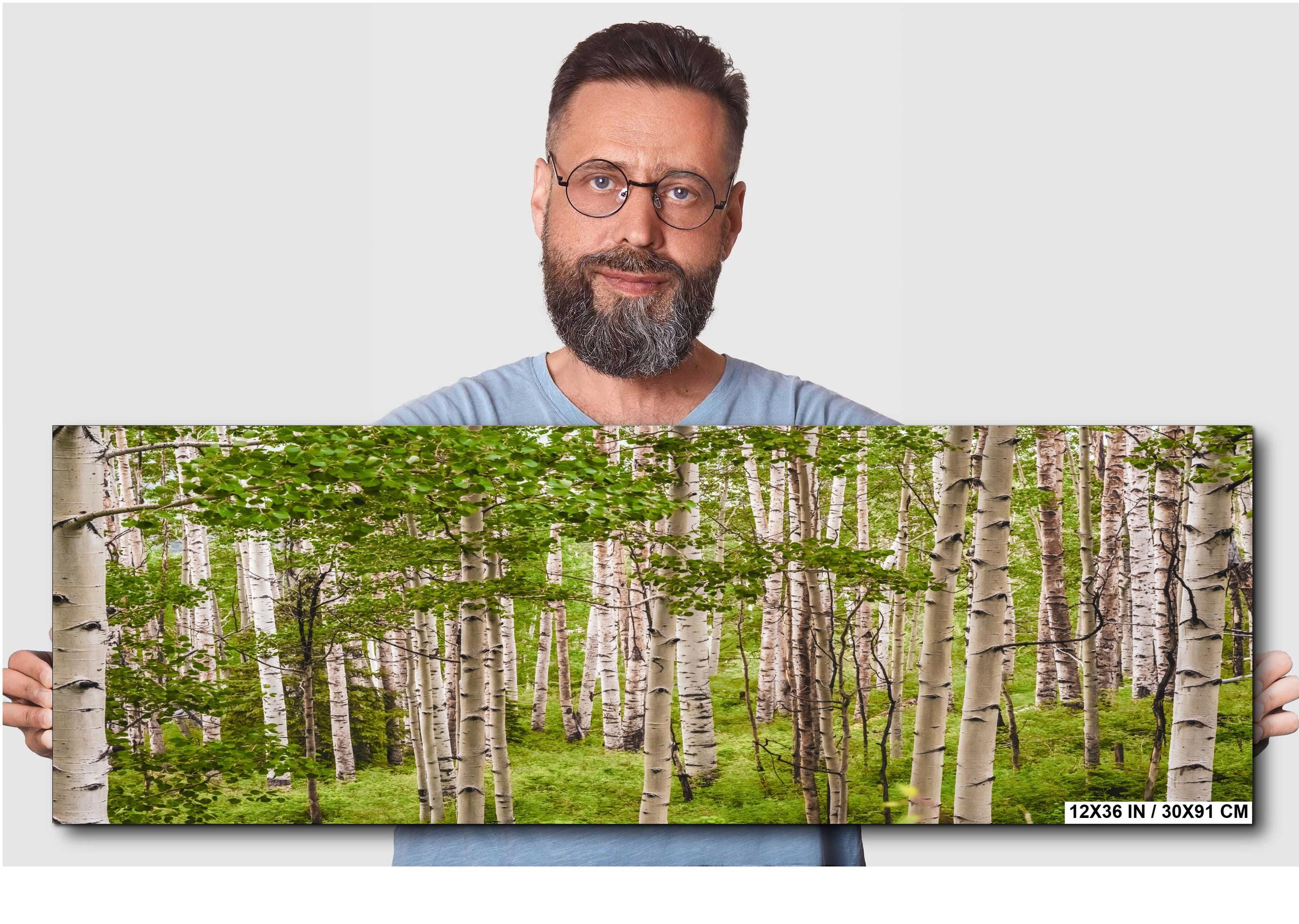 San Juan Mountains Aspen Forest Print: Telluride Colorado Landscape