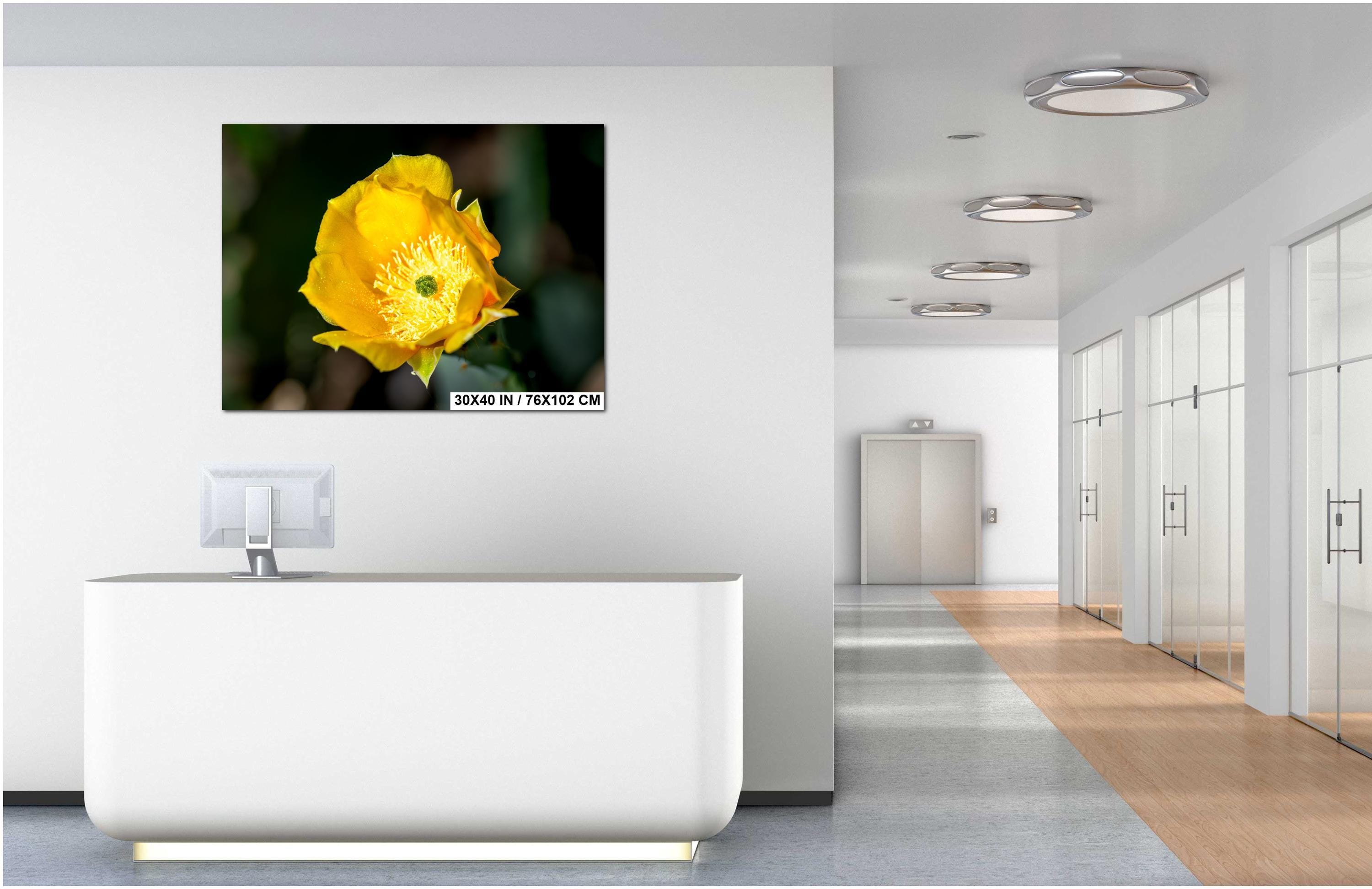 Prickly Pear Cactus Flower Print: Arizona Desert Bloom Photography