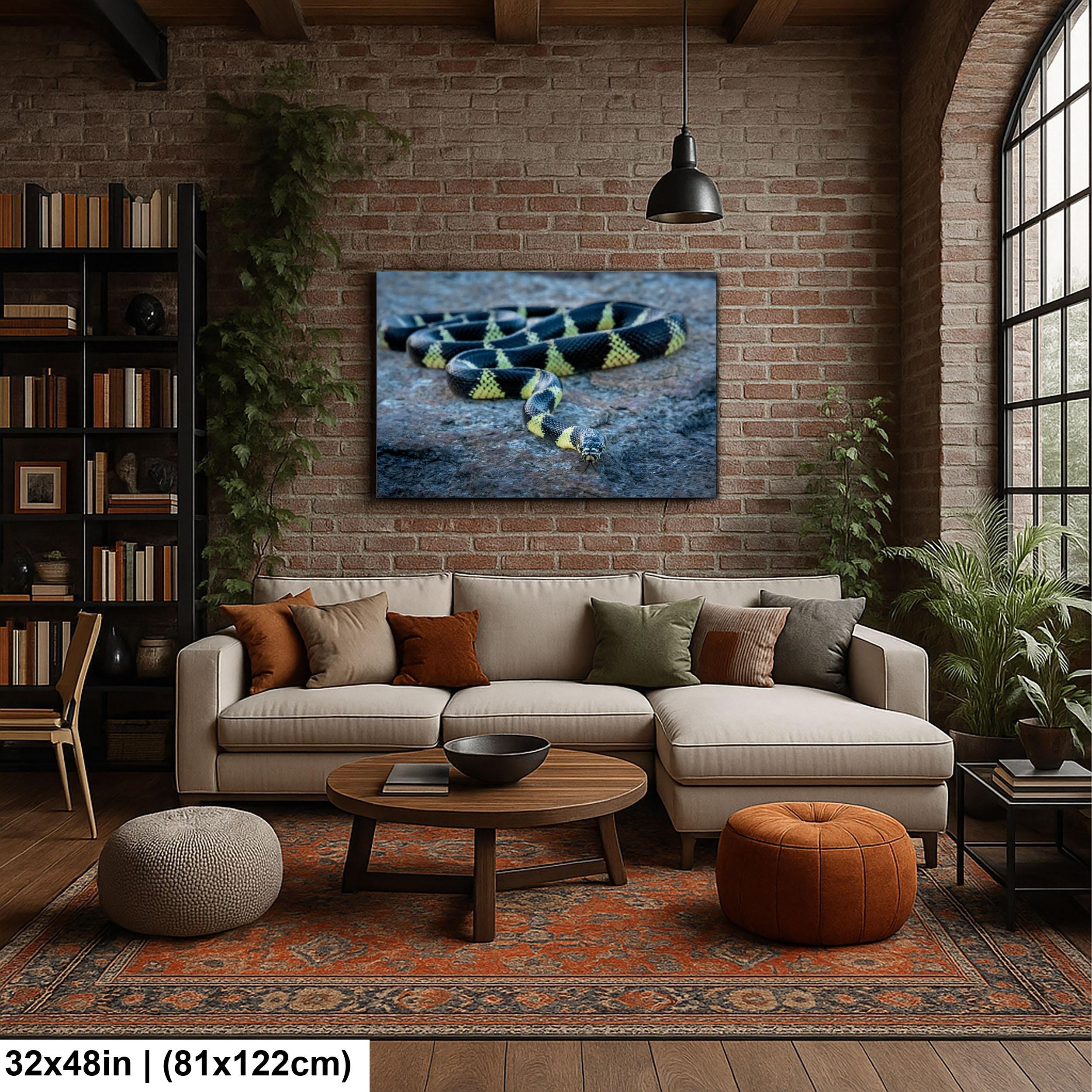 California Kingsnake Print – Desert Snake Art | Wildlife Snake Photo Wall Decor