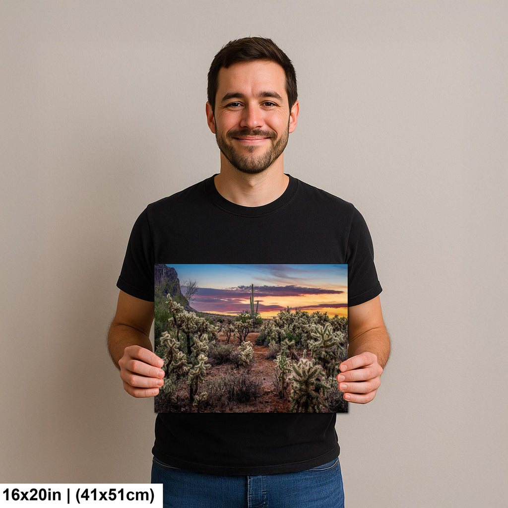 Desert Sunset Photograph, Cholla Cactus and Saguaros, Arizona Landscape Wall Art